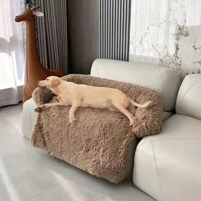 Coussin Canapé Protection Sofa Gros Chien