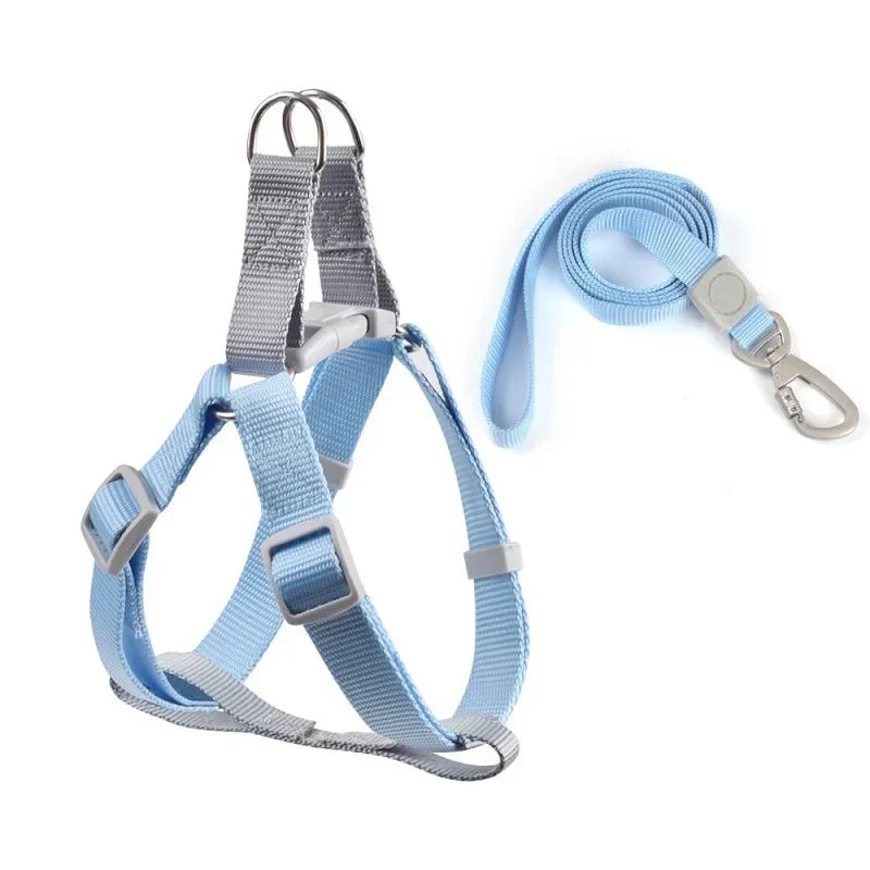 Harnais Petit Chien Respirant Laisse Incluse