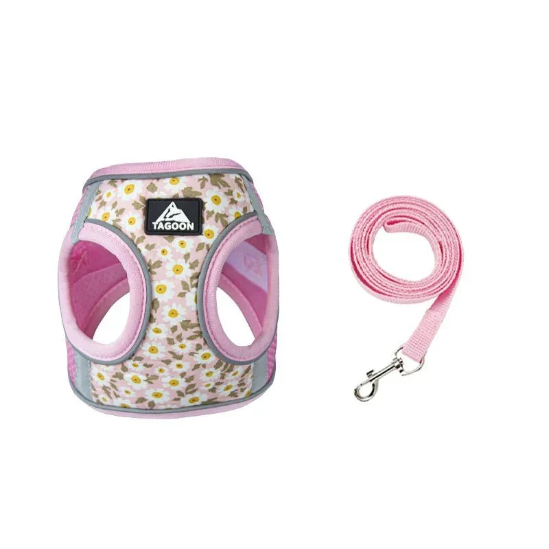 Harnais Pâquerette Avec Laisse Petit Chien