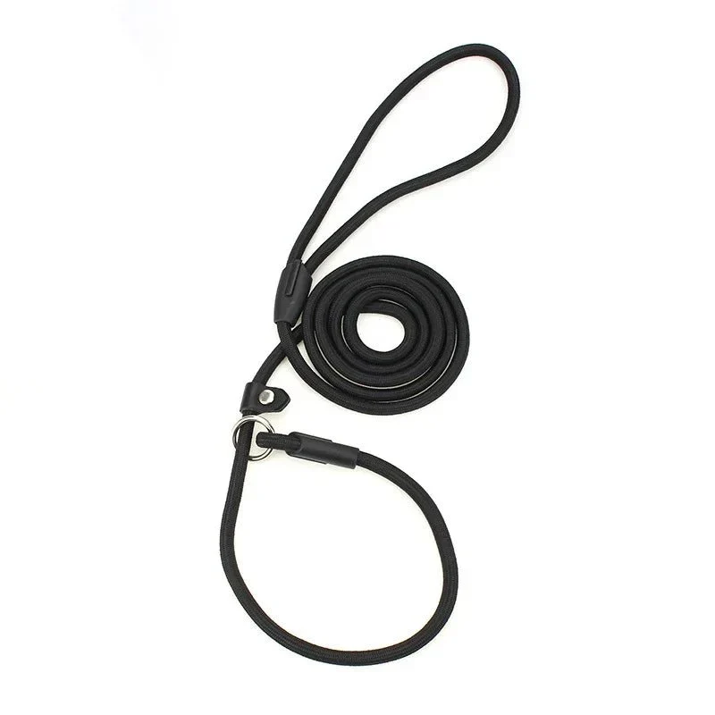 Laisse Lasso Réglable Gros Chien 150cm