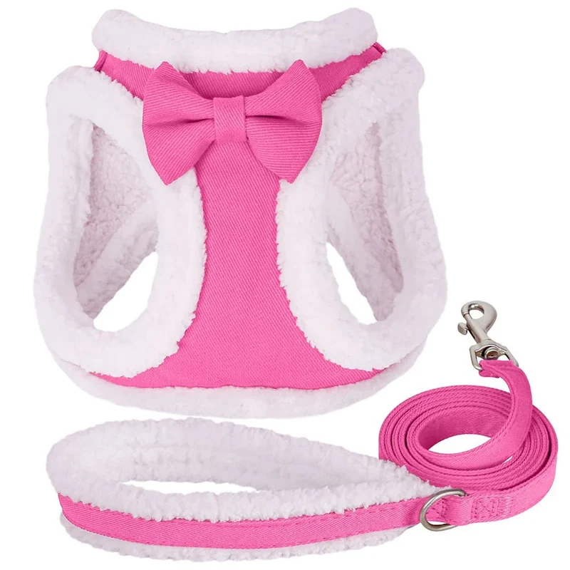 Harnais Festif avec Laisse Petit Chien XS S M