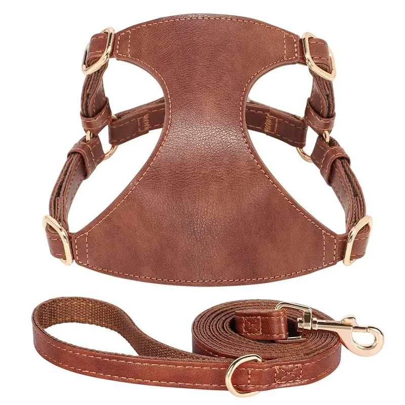 Harnais Cuir Chihuahua Réglable avec Laisse