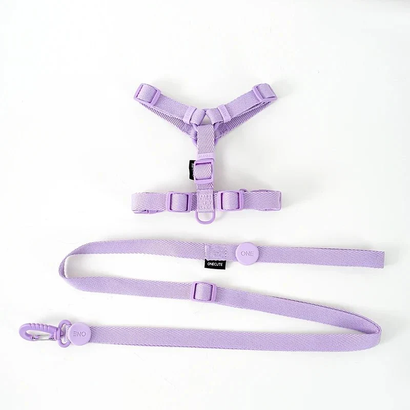 Harnais Nylon Réglable avec Laisse pour Chiot