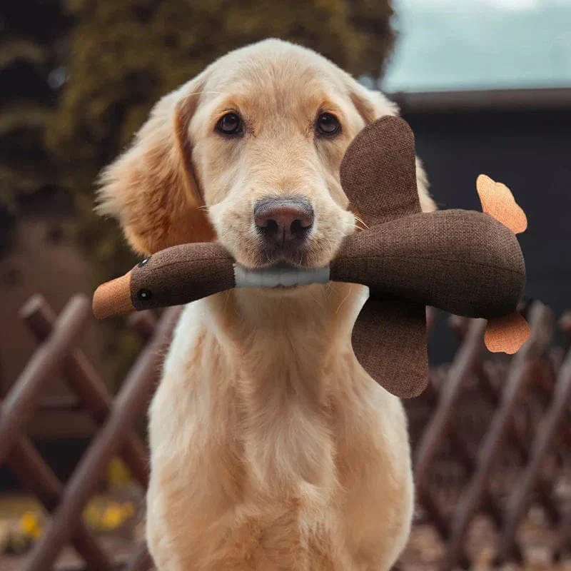 Jouet Ultra-Résistant Caoutchouc Gros Chien Puissant