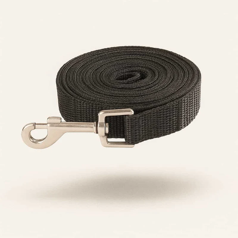 Longe Nylon Résistante Chien 15 à 50m