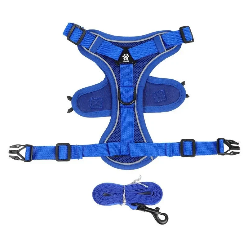 Harnais Anti-Traction Petit Molosse Confort