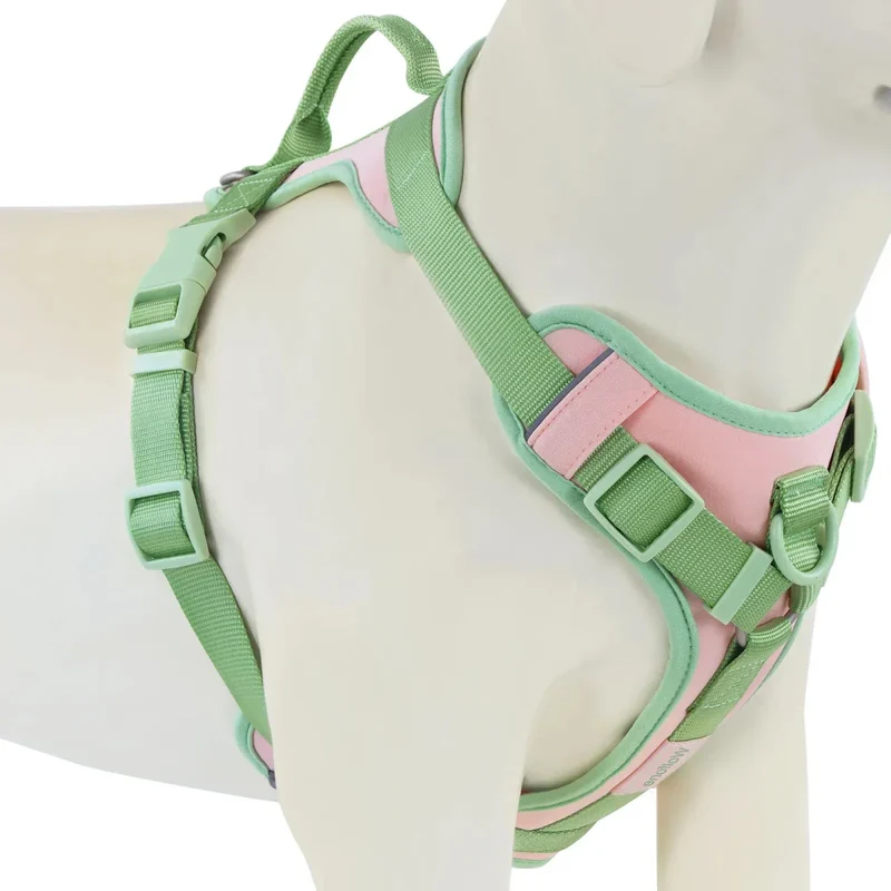 Harnais Anti-Traction Gros Chien Multicolore