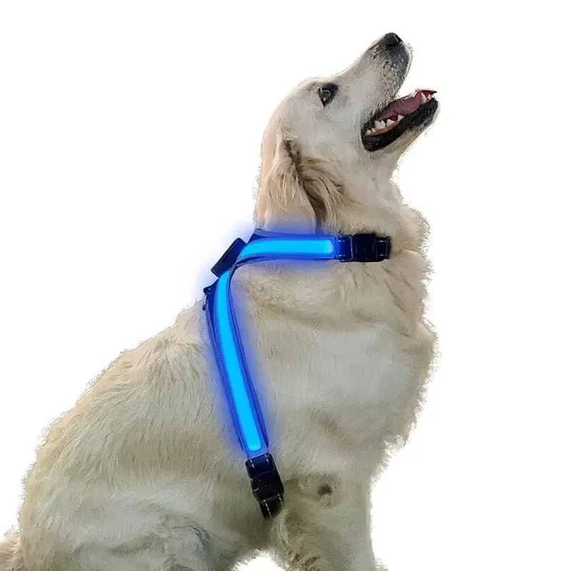 Harnais Lumineux LED Gros Chien