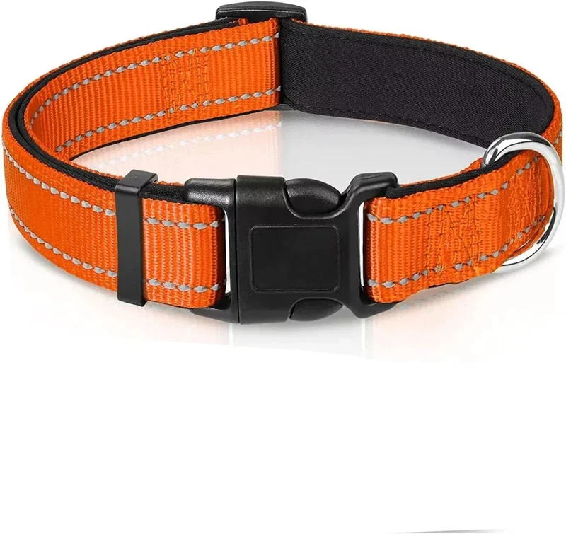 Collier Réfléchissant Réglable Gros Chien