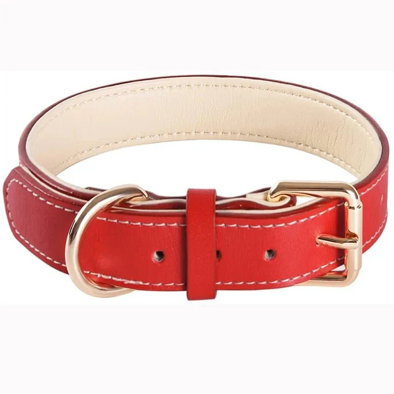 Collier Cuir Rouge Rembourré Gros Chien