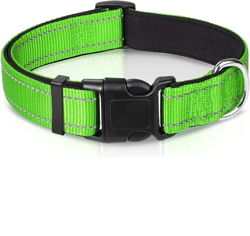 Collier Réfléchissant Néoprène Gros Chien