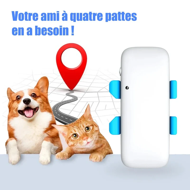 Collier GPS Gros Chien Étanche