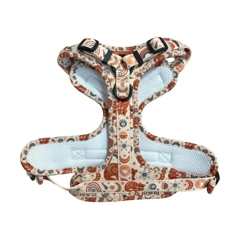 Harnais anti-traction pour chien Comfy Luna Bear 🐻