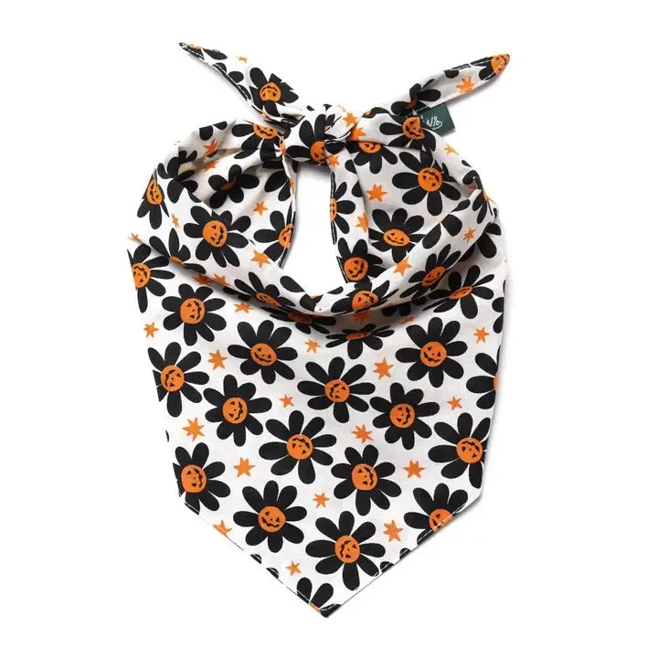 Bandana pour chien Halloween Pétales de citrouille 🎃