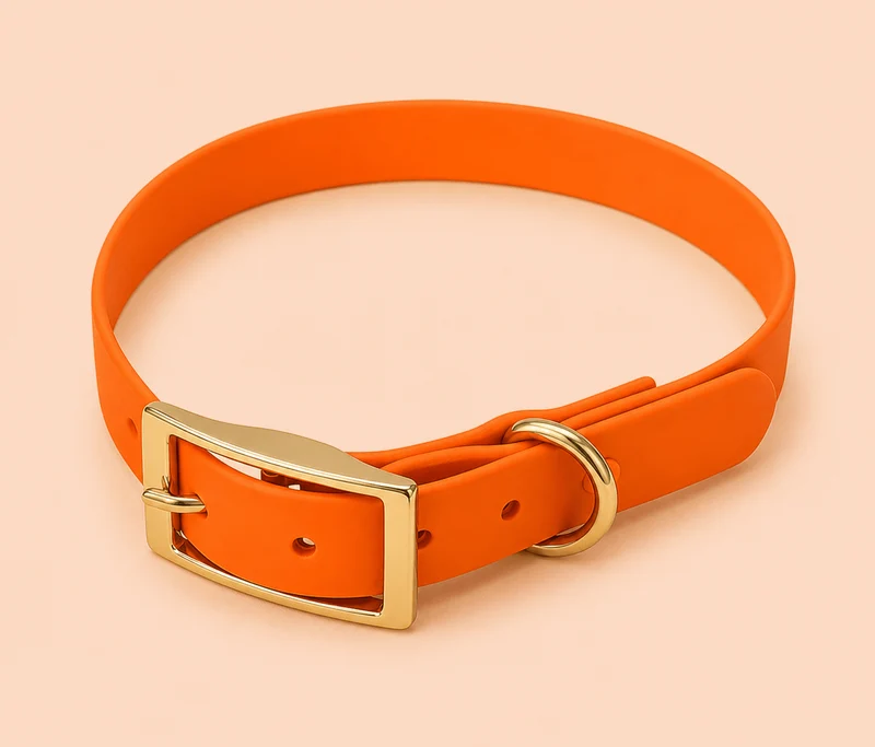 Collier pour chien imperméable Phoenix — Élégance d’automne