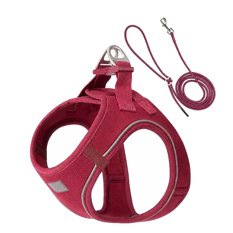 Harnais Chiot Respirant Multicolore