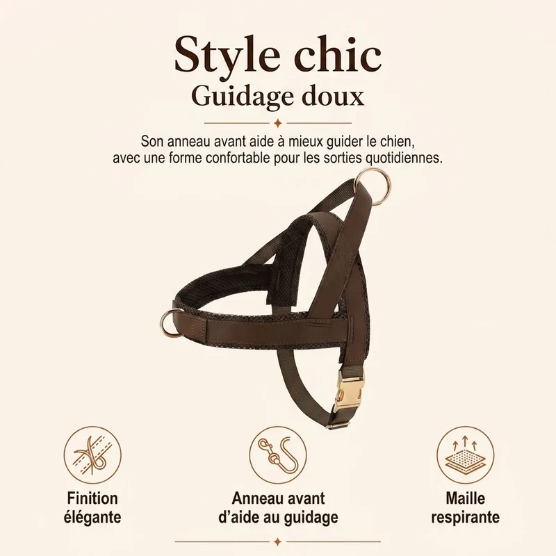 Harnais Petit Chien Chic