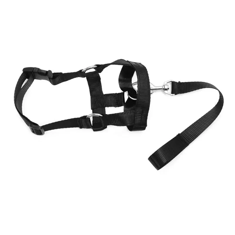 Licol Ajustable Nylon Réfléchissant Grand Chien