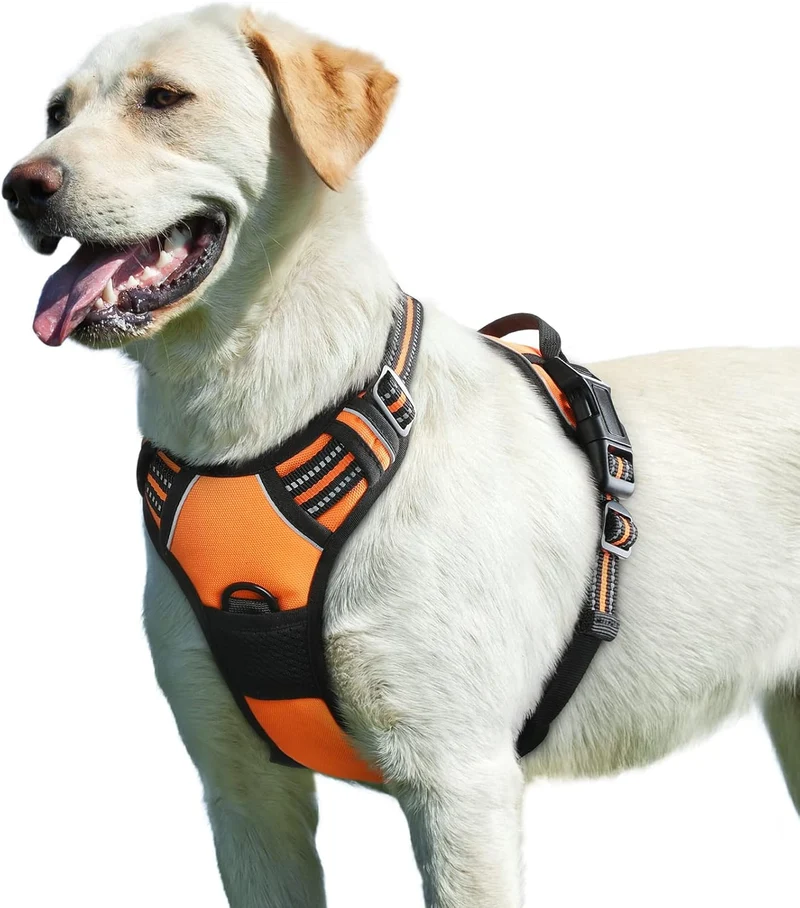 Harnais Anti-Traction Réfléchissant Chien Nuit