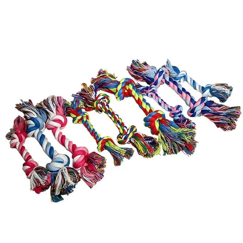 Os Corde Couleurs Variées Gros Chien