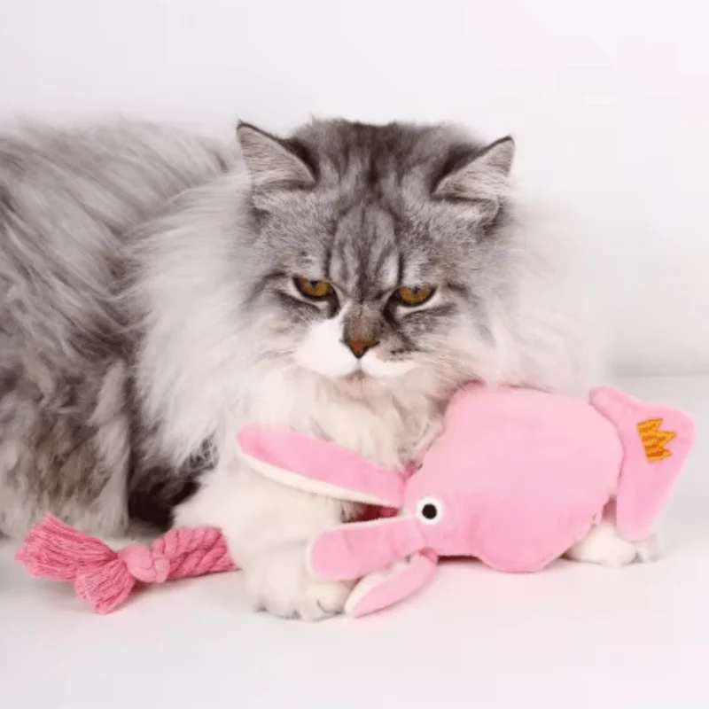Jouet Pieuvre Peluche Corde Gros Chien