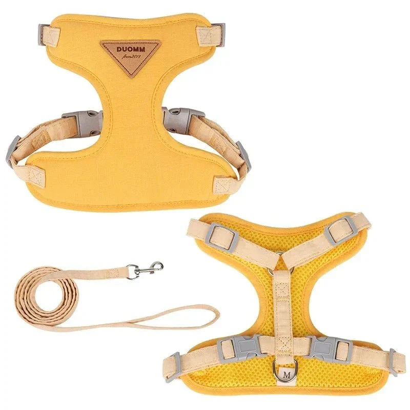 Set Harnais Laisse Respirant Petit Chien