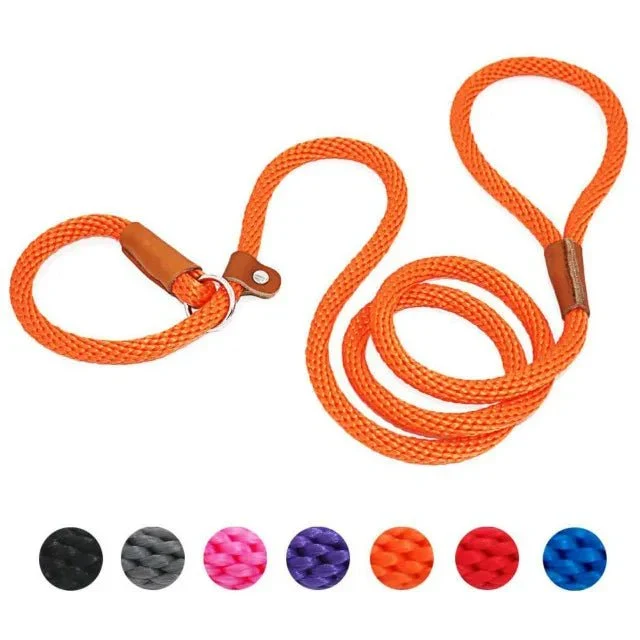 Laisse Lasso Corde Nylon 185cm Gros Chien 7 Coloris