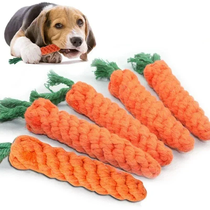 Jouet Corde Carotte Chien