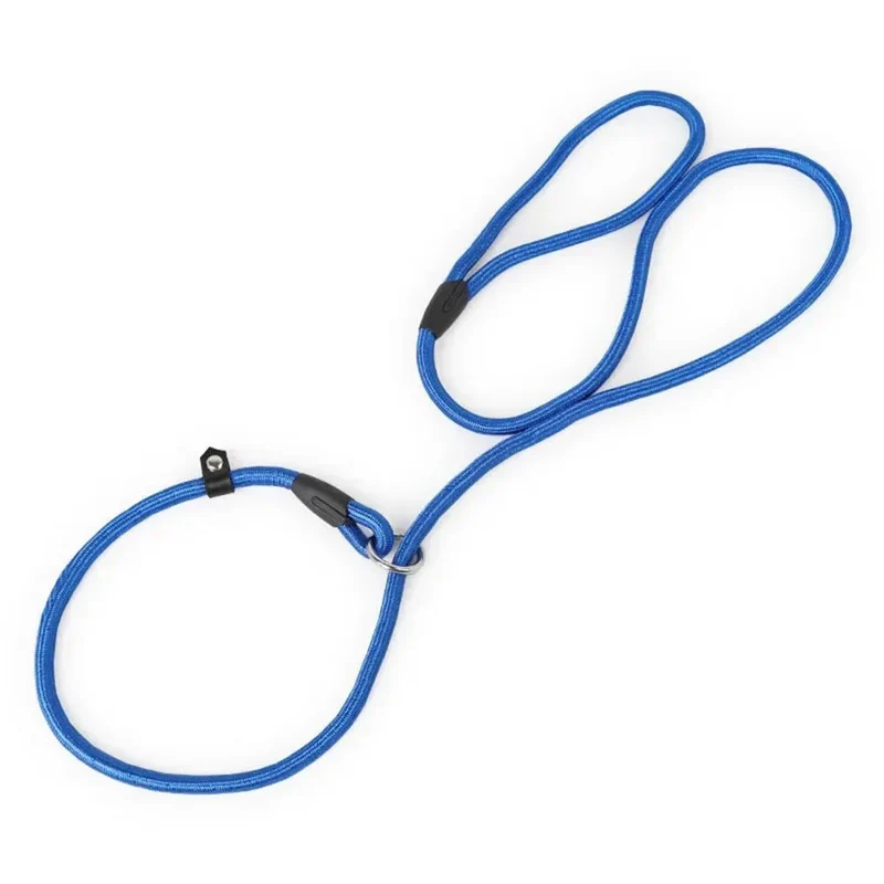 Laisse Lasso Nylon Entraînement Chien 130cm