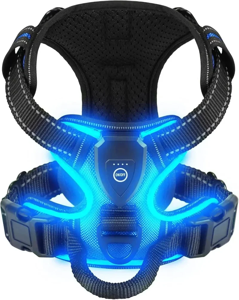 Harnais LED Lumineux Chien Sécurité Nuit