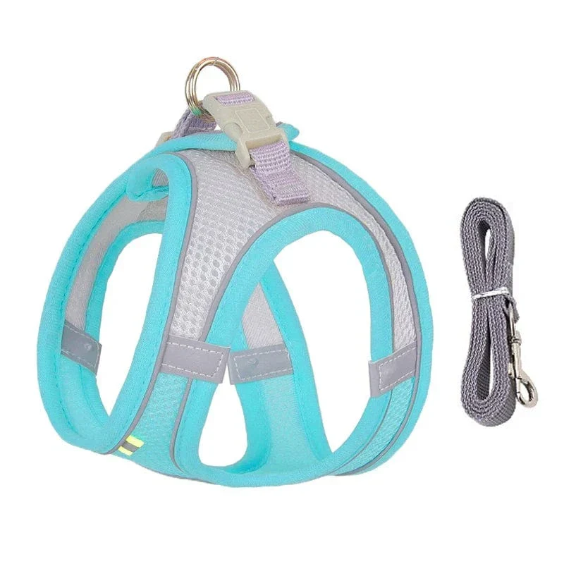 Harnais Ajustable Doux Chien avec Laisse