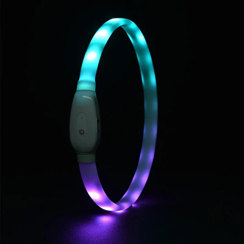 Collier LED Rechargeable USB Gros Chien
