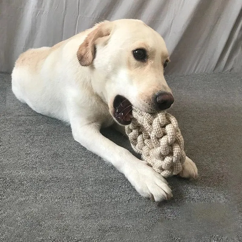 Jouet Corde Résistant Chien Hygiène Dentaire