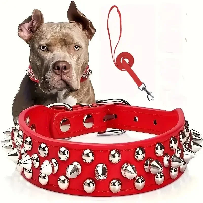 Collier Clouté Cuir Résistant Gros Chien