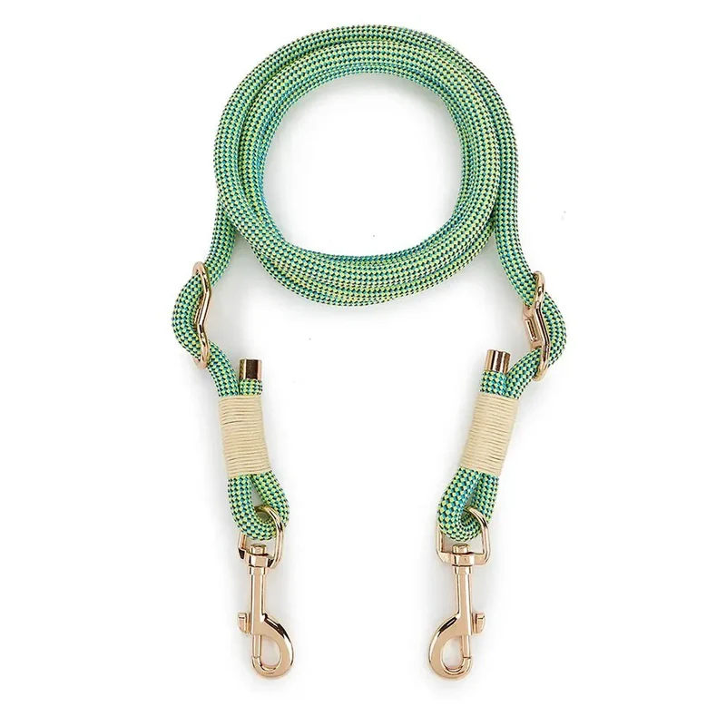 Laisse Lasso Design Anti-Traction Gros Chien