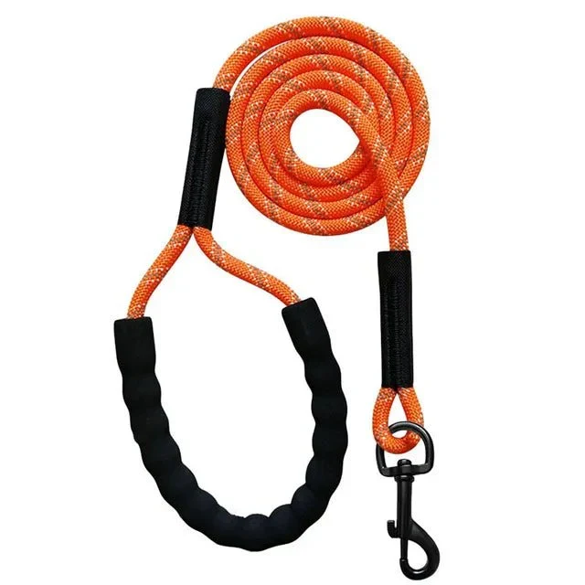 Laisse Corde Bungee Réfléchissante Gros Chien