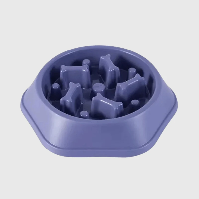 Gamelle Anti-Glouton Chien 250ml 7 Coloris