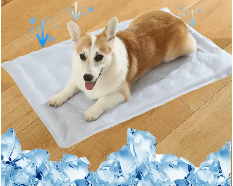 Tapis Rafraîchissant Eau Gros Chien