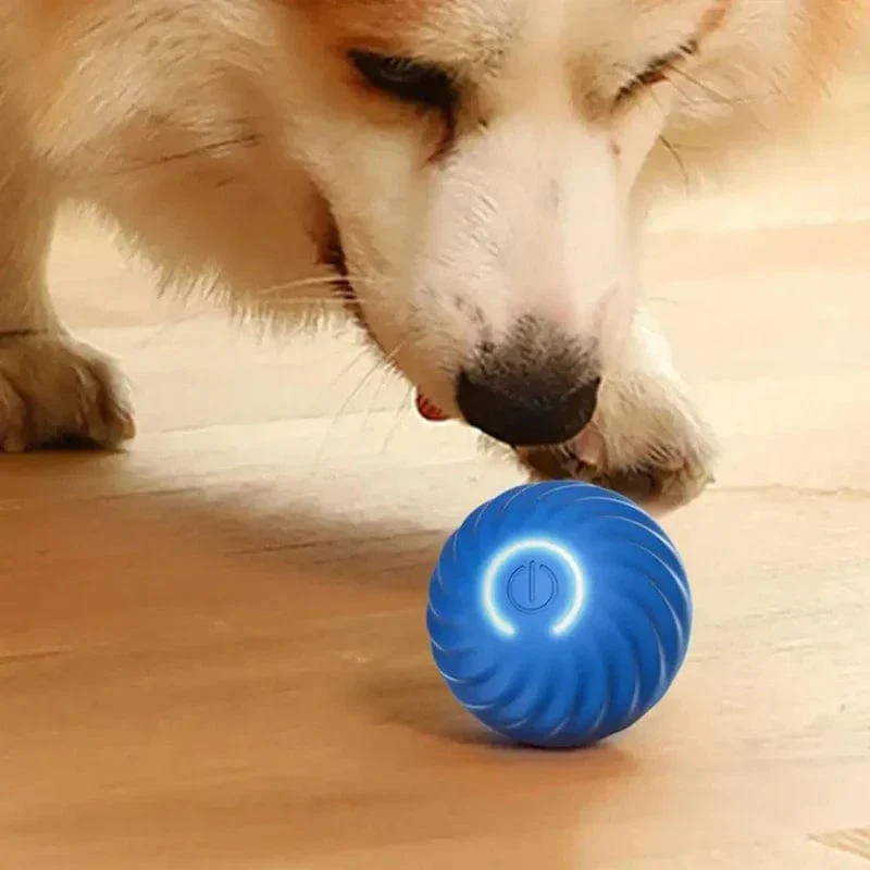 Jouet Interactif Roulant Électrique pour Chien