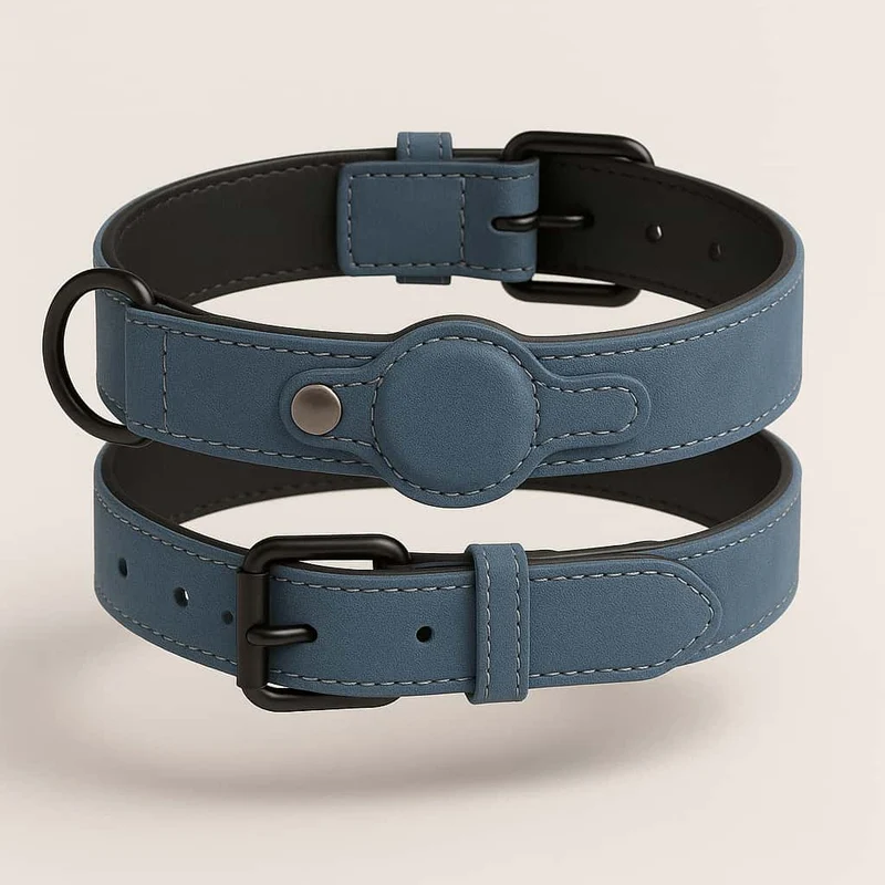 Collier Cuir Emplacement AirTag Gros Chien