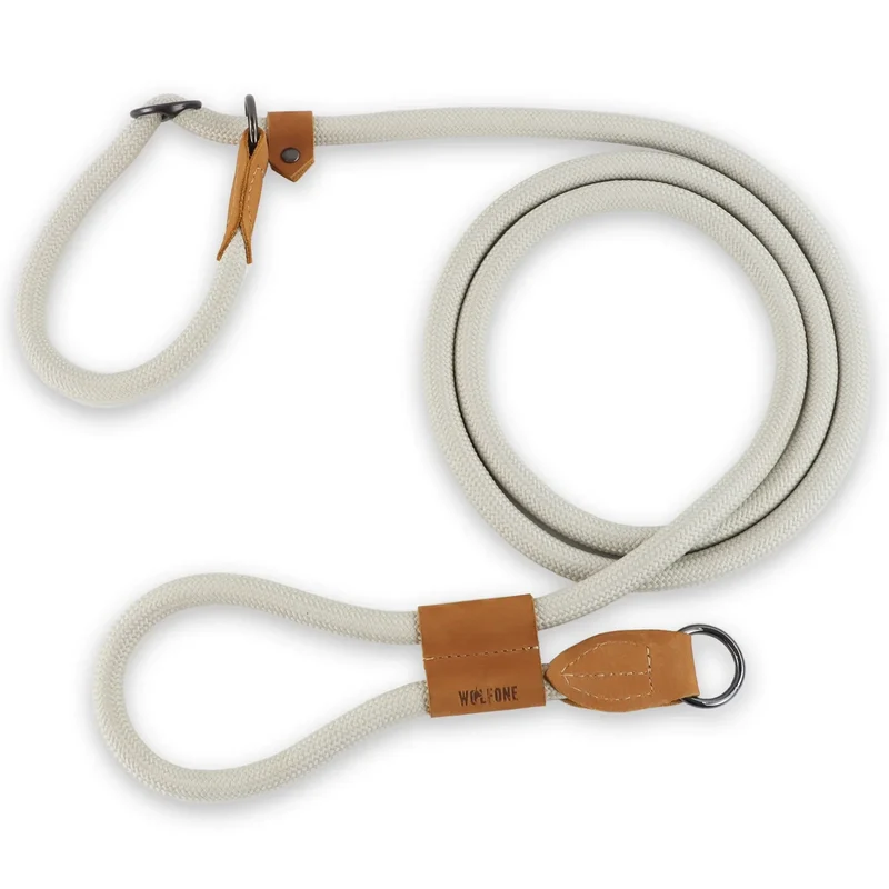 Laisse Lasso Chien Nylon Colorée 2 à 3 Mètres