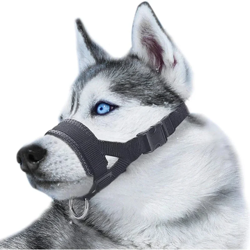 Licol Anti-Traction Réglable Grande Race