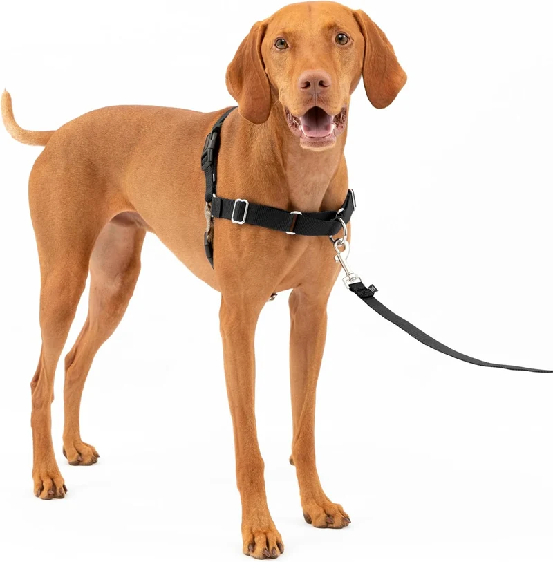 Harnais Anti-Traction Réglable Gros Chien