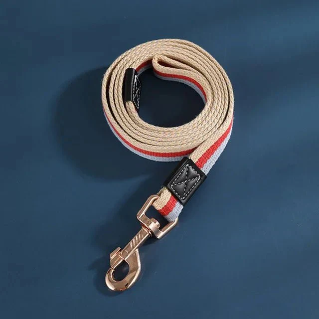Laisse Nylon Éducation Chiot 2m Largeur 25mm