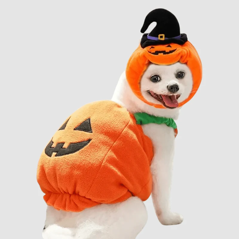 Déguisement Citrouille Chien Halloween XS-L