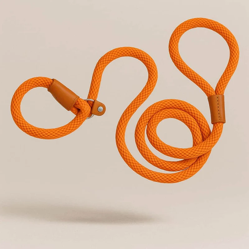 Laisse Lasso Nylon Tressé Orange Gros Chien