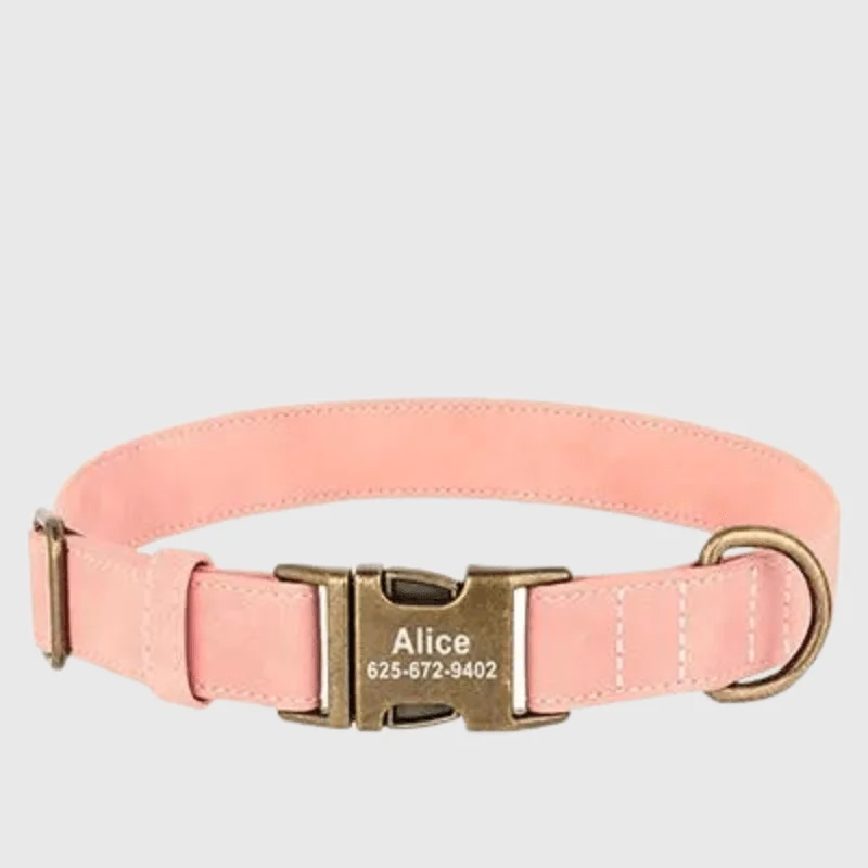Collier Personnalisé Gravé Gros Chien Nylon