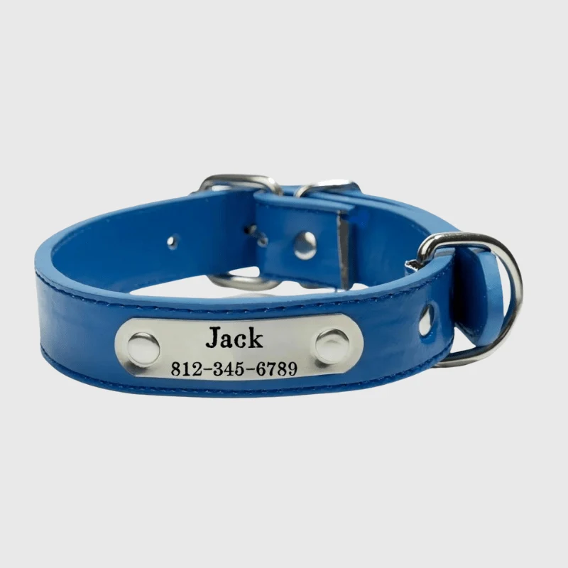 Collier Cuir Personnalisé Prénom Gravé Chien