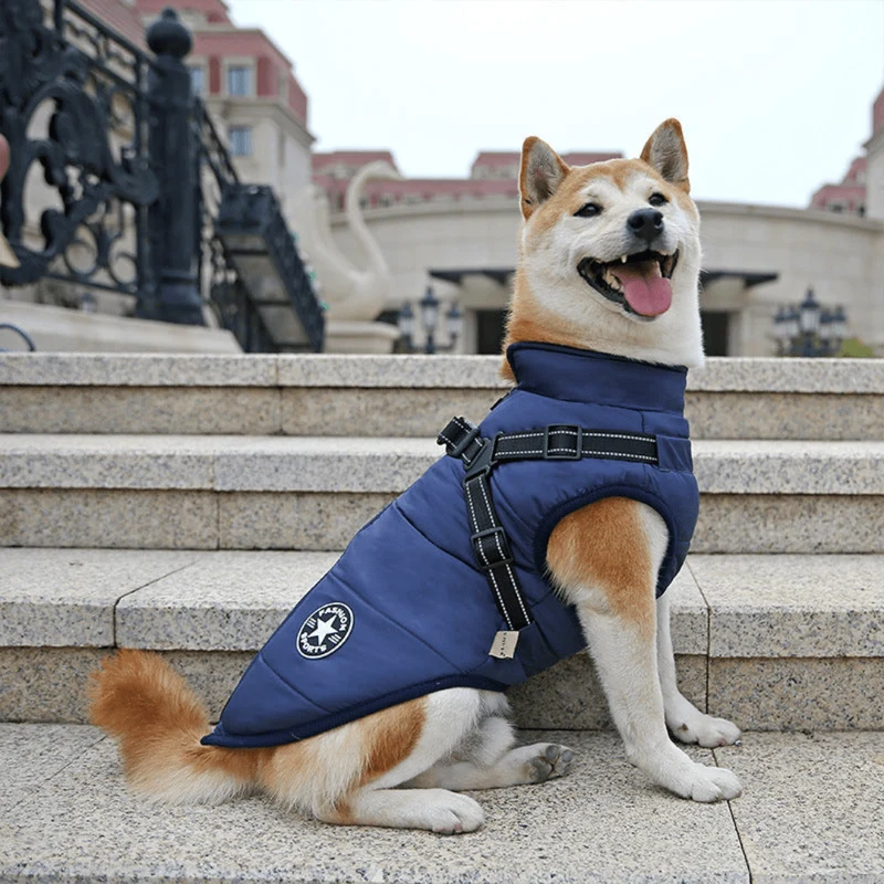 Manteau Imperméable Hiver Gros Chien Harnais Intégré