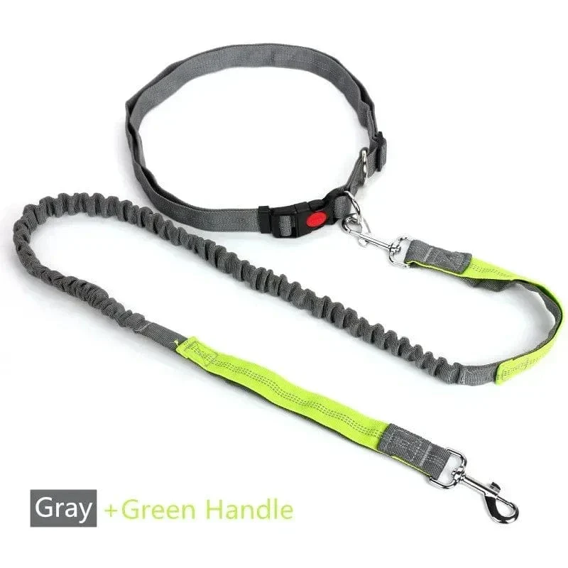 Laisse Mains Libres Réglable Canicross Chien